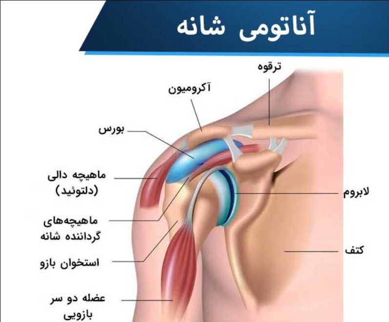 دررفتگی مکرر شانه